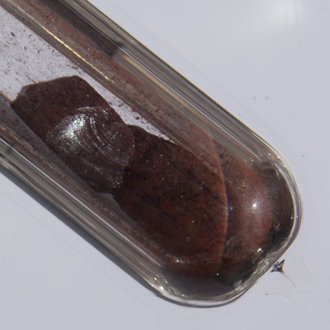 ফসফরাস মৌলের প্রকৃত নমুনা