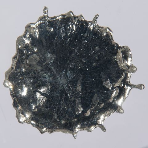 টিন মৌলের প্রকৃত নমুনা