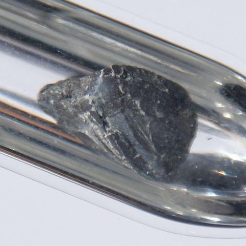 বেরিয়াম মৌলের প্রকৃত নমুনা