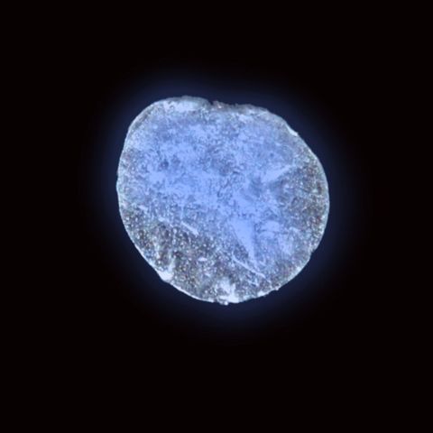 রেডিয়াম মৌলের প্রকৃত নমুনা